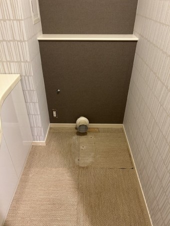 IMG_3884 IMG_38841-e1722063824946